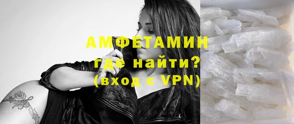 шишки Корсаков