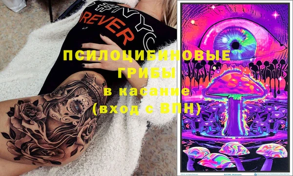 шишки Корсаков