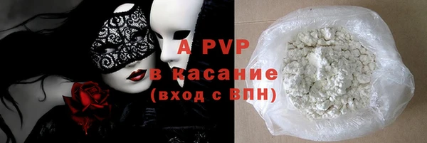 шишки Корсаков