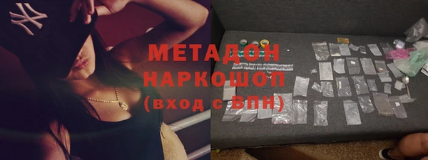 шишки Корсаков