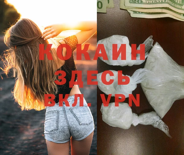 индика Ветлуга