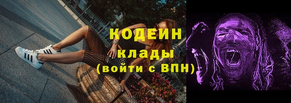 шишки Корсаков