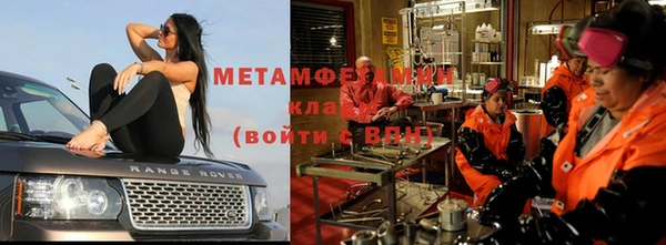 шишки Корсаков