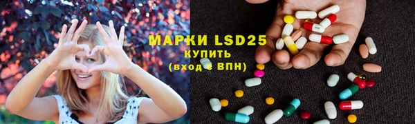 шишки Корсаков
