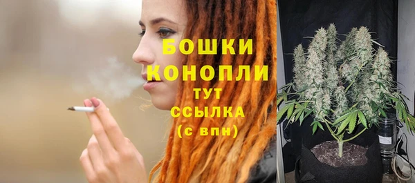 шишки Корсаков